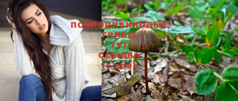 мега ТОР  Балахна  Галлюциногенные грибы Magic Shrooms 