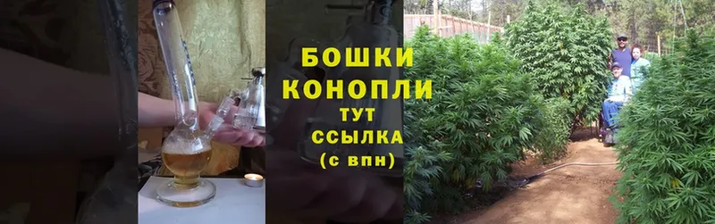 Конопля SATIVA & INDICA  где продают   Балахна 